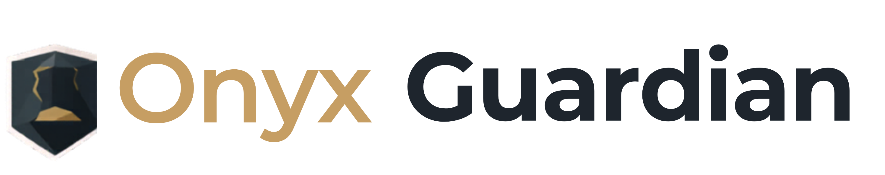 Onyx Guardian